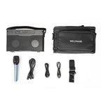 MA-8 | Portable Acoustic Guitar Amplifier with Reverb & OTG
