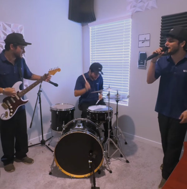 Can Karaoke Mics Handle Real Instruments?